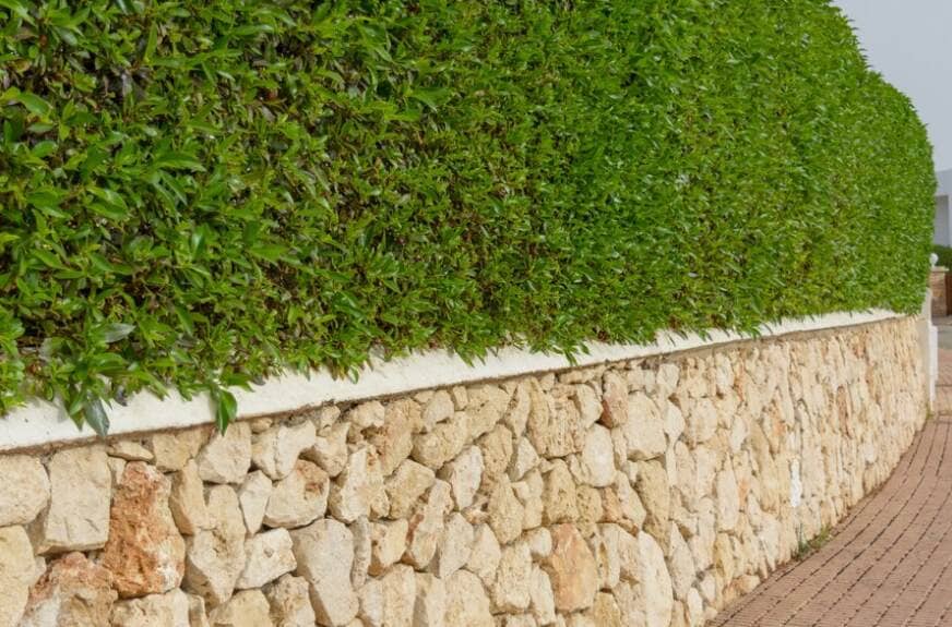 what-type-of-contractor-builds-retaining-walls
